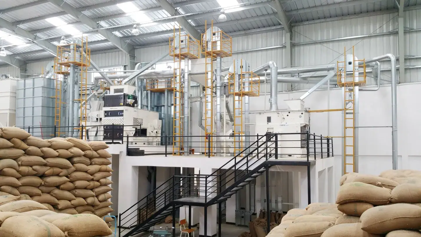 A modern coffee processing plant